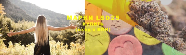 PSILOCYBIN Армянск