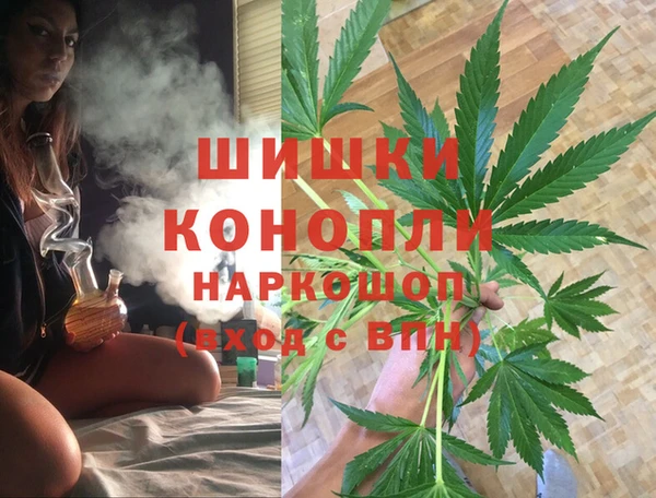 спайс Арсеньев