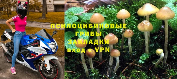 PSILOCYBIN Армянск