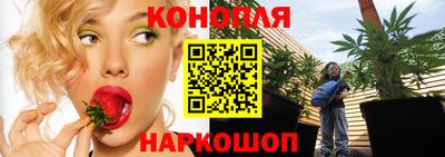 spice Кунгур