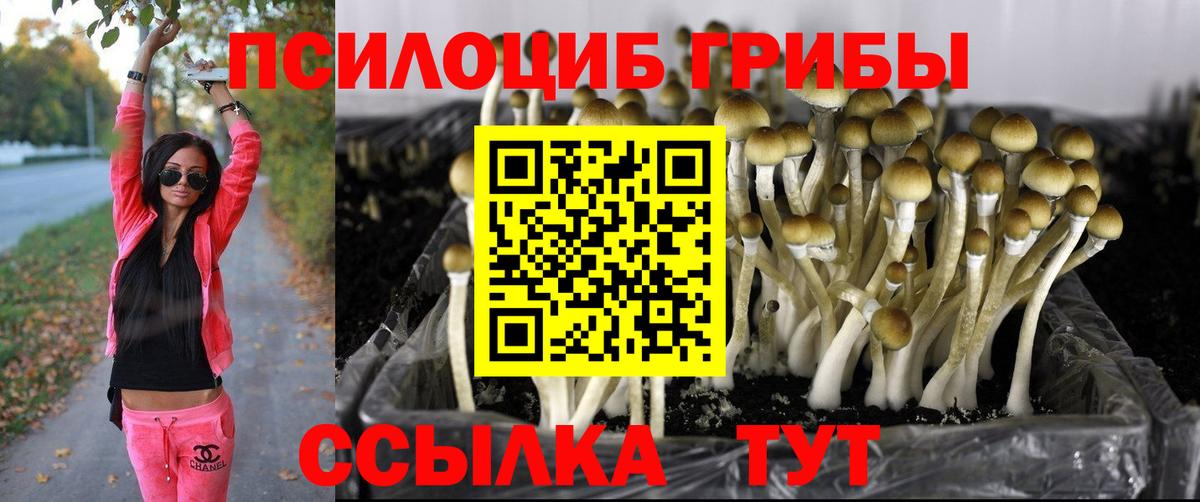 Галлюциногенные грибы Magic Shrooms Волгодонск