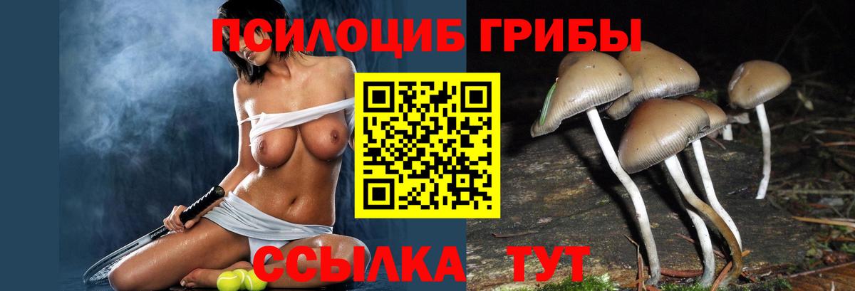 хочу наркоту  Вход с VPN  Волгодонск  Псилоцибиновые грибы MAGIC MUSHROOMS 